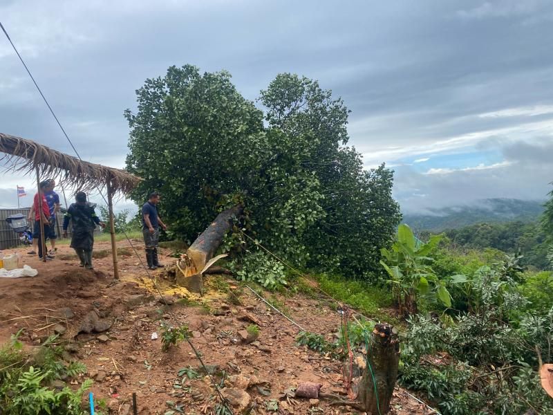 องค์การบริหารส่วนตำบลแม่สลองใน