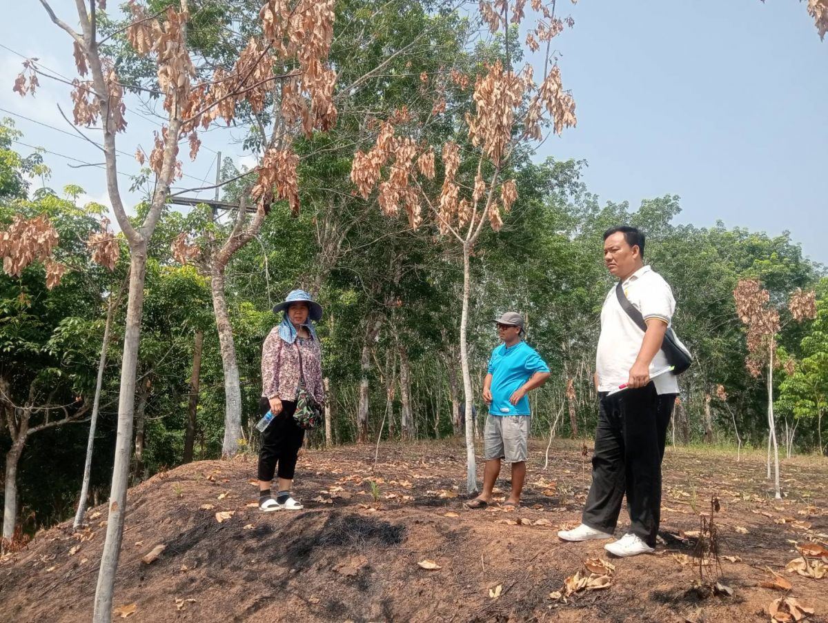 องค์การบริหารส่วนตำบลแม่สลองใน