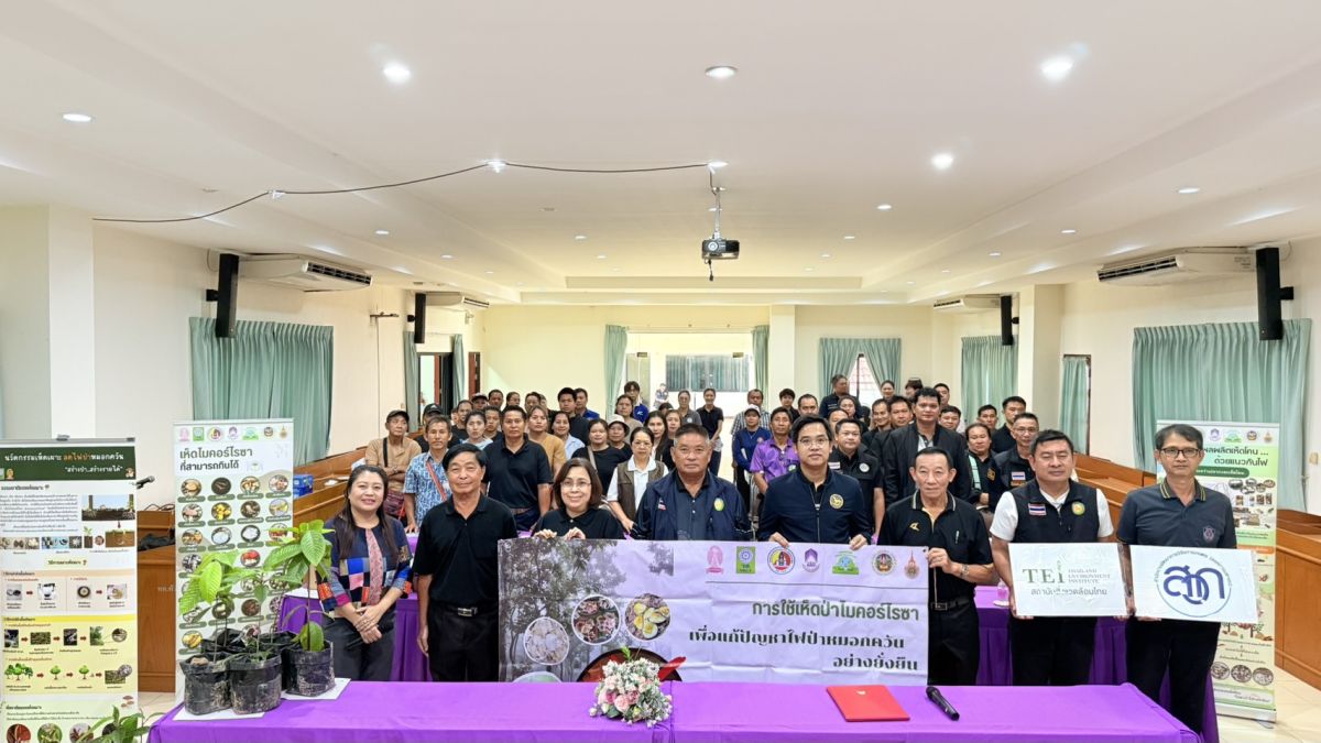 องค์การบริหารส่วนตำบลแม่สลองใน