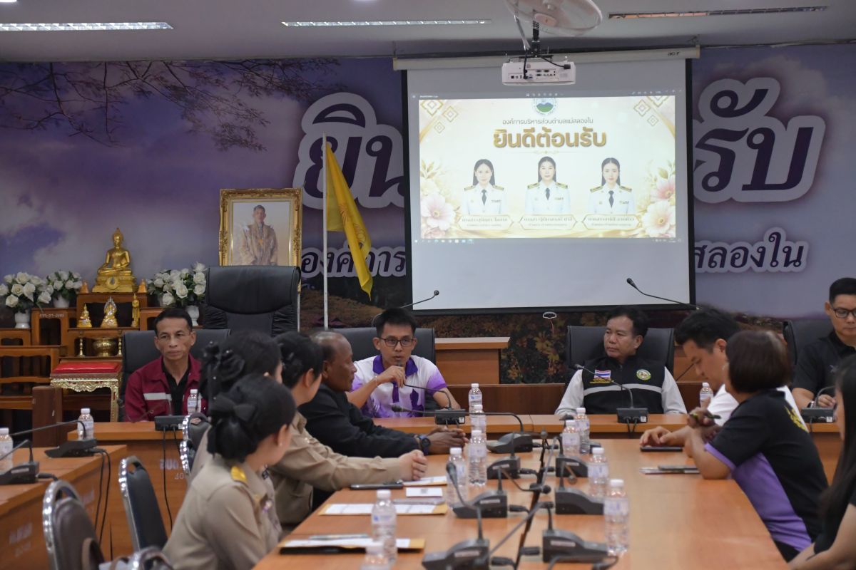 องค์การบริหารส่วนตำบลแม่สลองใน