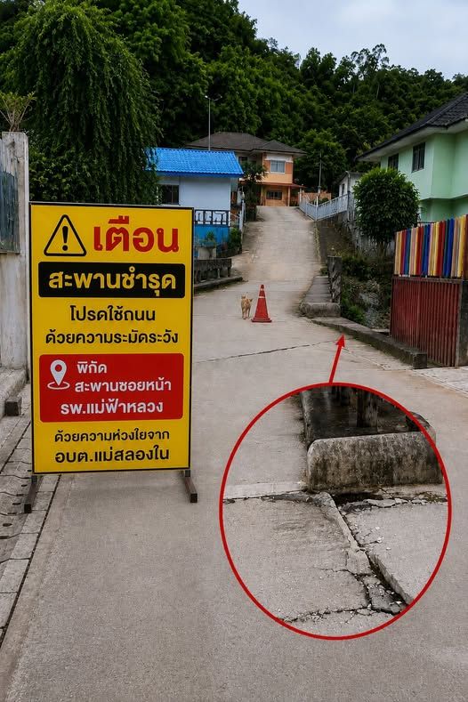 องค์การบริหารส่วนตำบลแม่สลองใน
