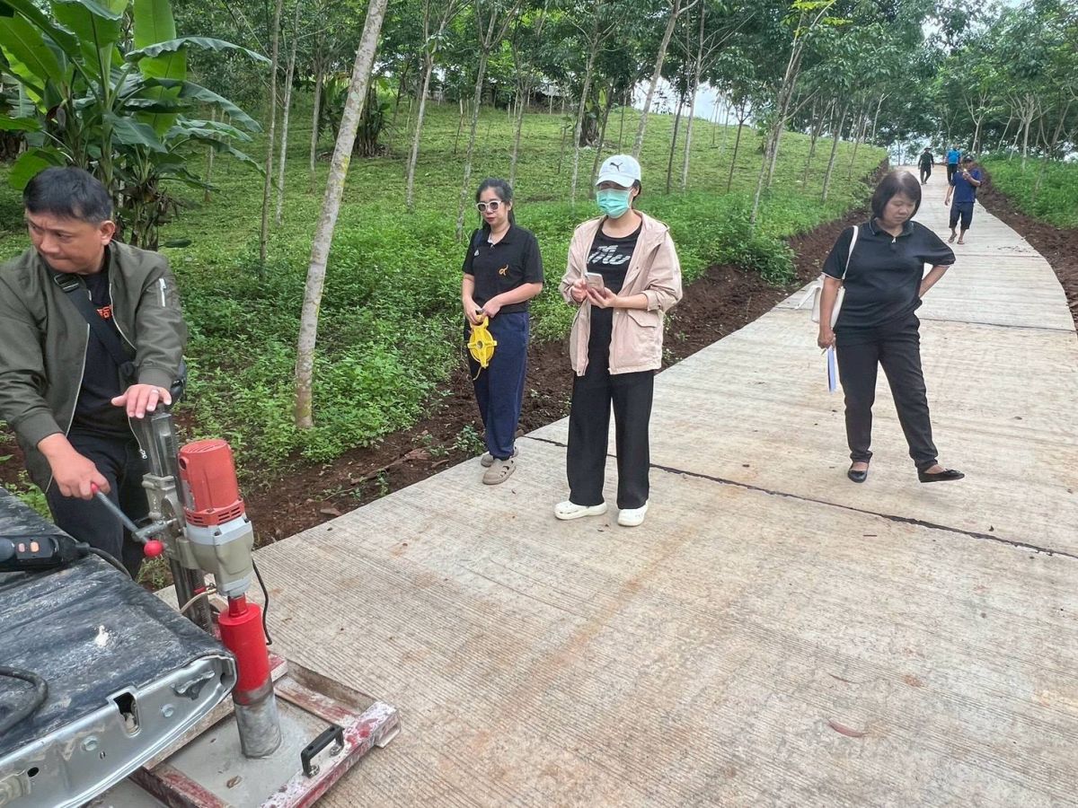 องค์การบริหารส่วนตำบลแม่สลองใน