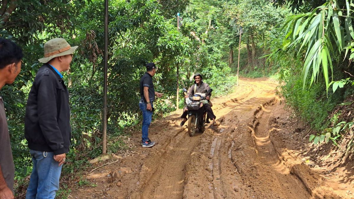 องค์การบริหารส่วนตำบลแม่สลองใน