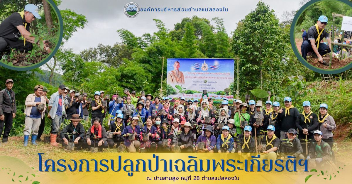 องค์การบริหารส่วนตำบลแม่สลองใน