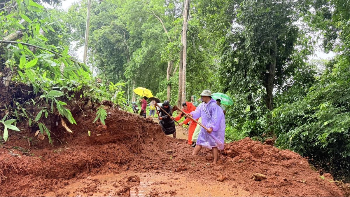 องค์การบริหารส่วนตำบลแม่สลองใน