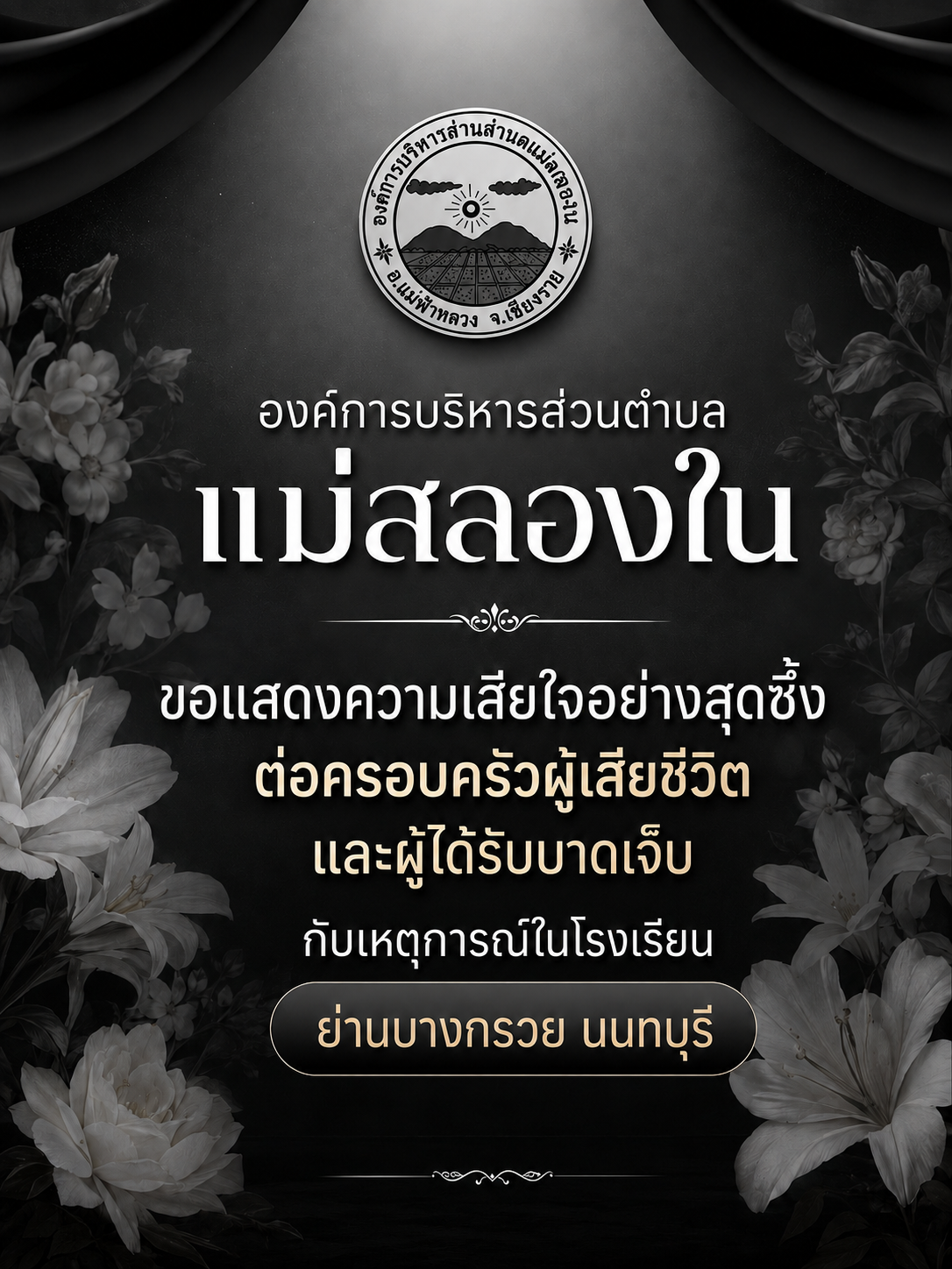 องค์การบริหารส่วนตำบลแม่สลองใน