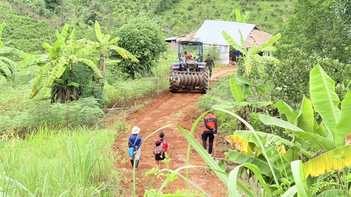 องค์การบริหารส่วนตำบลแม่สลองใน