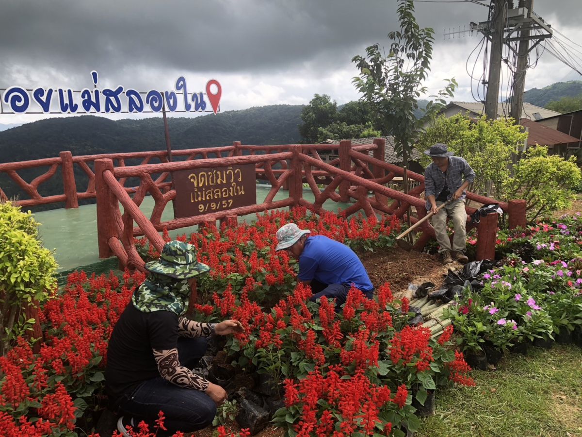 องค์การบริหารส่วนตำบลแม่สลองใน