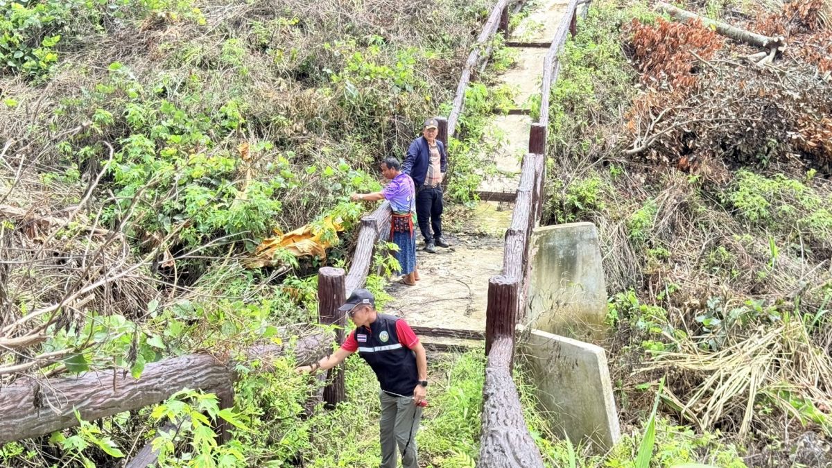 องค์การบริหารส่วนตำบลแม่สลองใน