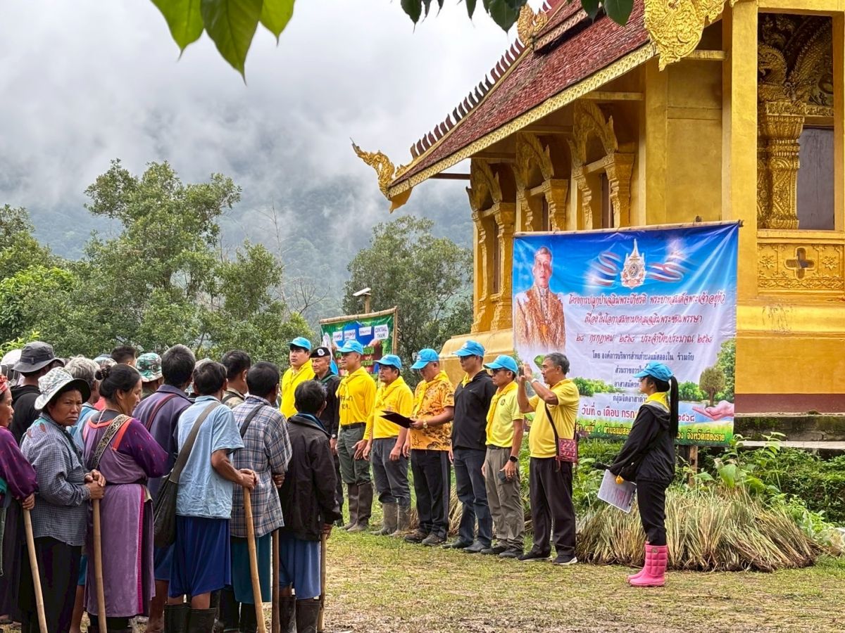 องค์การบริหารส่วนตำบลแม่สลองใน