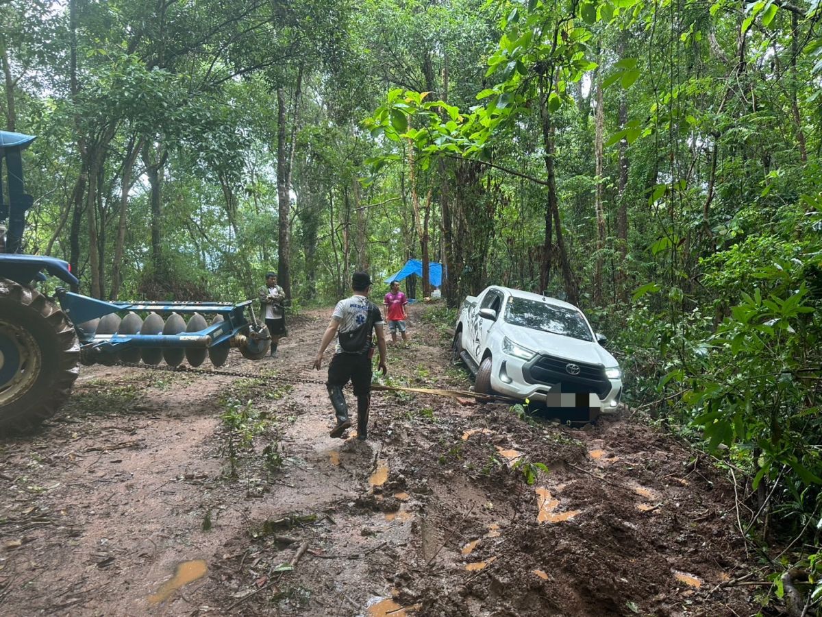 องค์การบริหารส่วนตำบลแม่สลองใน