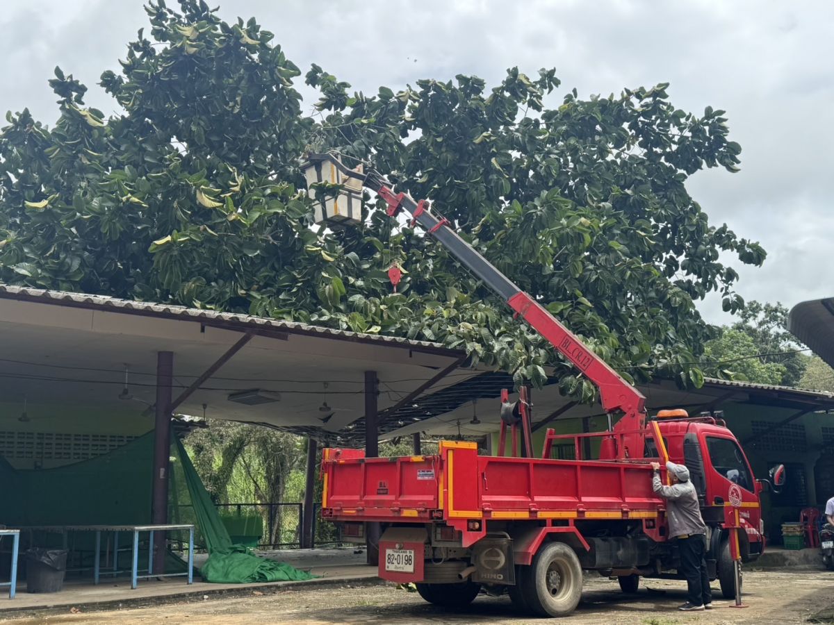 องค์การบริหารส่วนตำบลแม่สลองใน