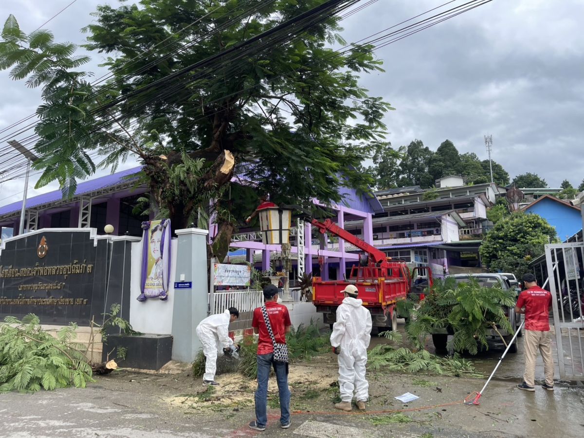 องค์การบริหารส่วนตำบลแม่สลองใน