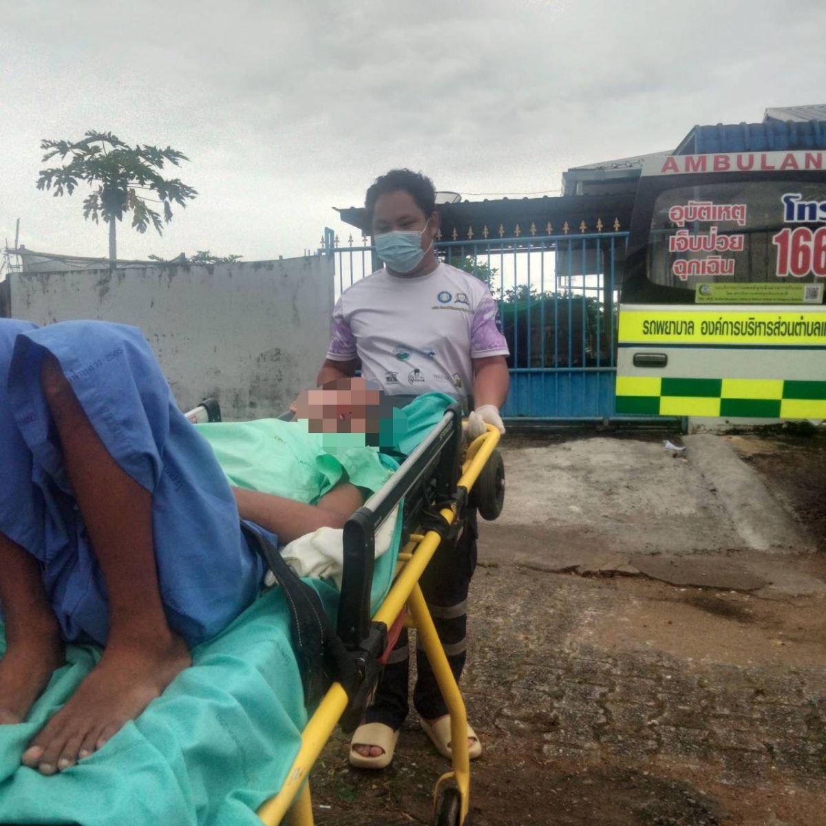 องค์การบริหารส่วนตำบลแม่สลองใน