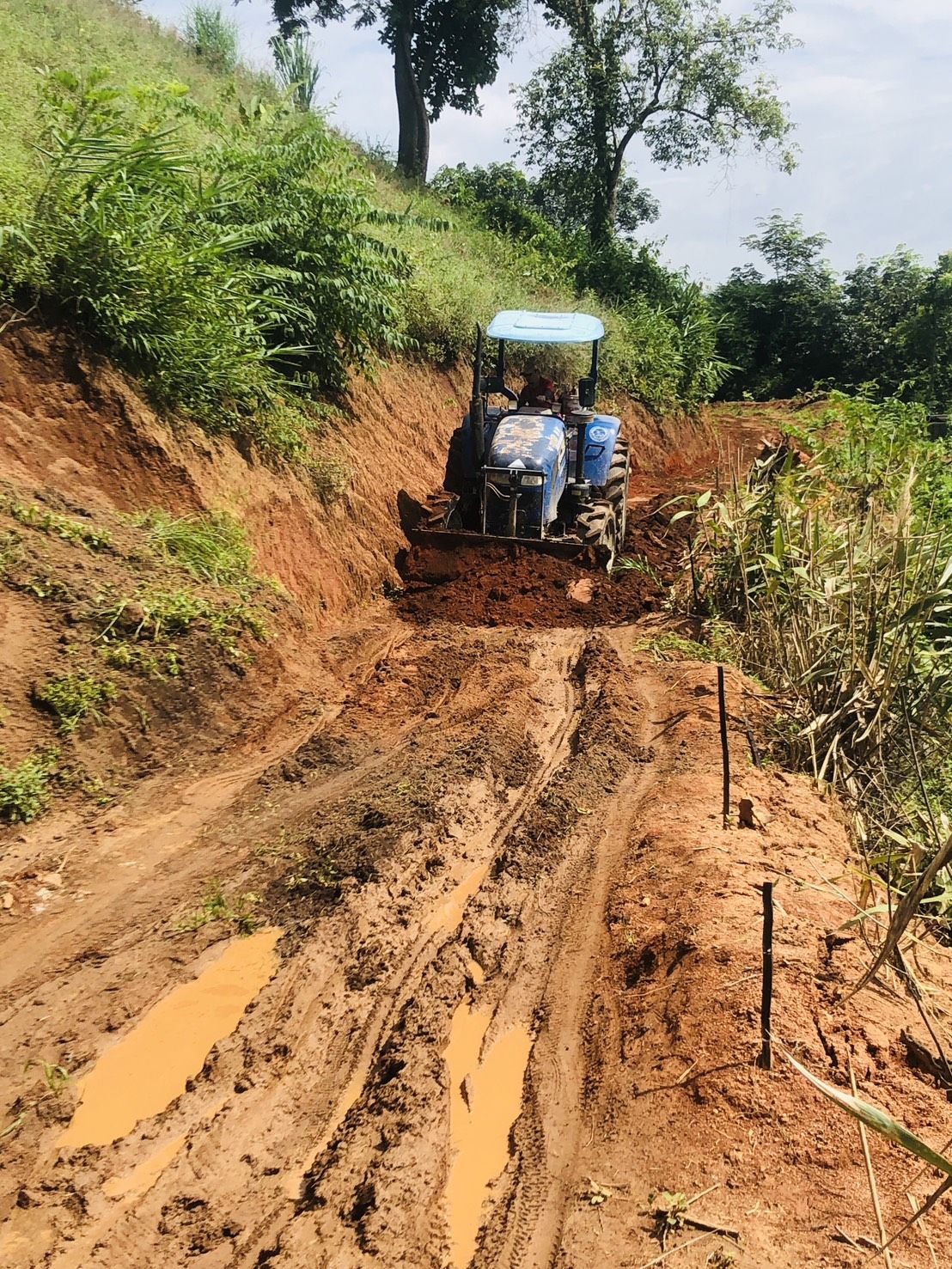 องค์การบริหารส่วนตำบลแม่สลองใน