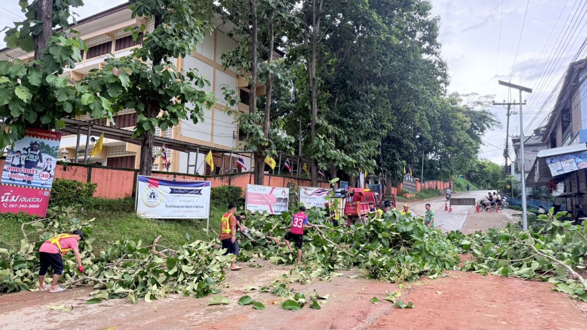 องค์การบริหารส่วนตำบลแม่สลองใน