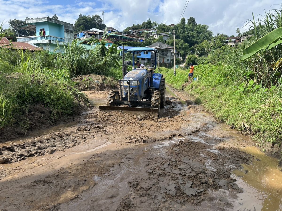 องค์การบริหารส่วนตำบลแม่สลองใน