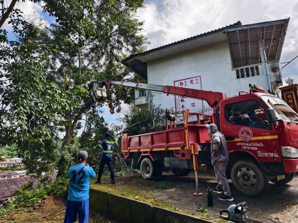 องค์การบริหารส่วนตำบลแม่สลองใน