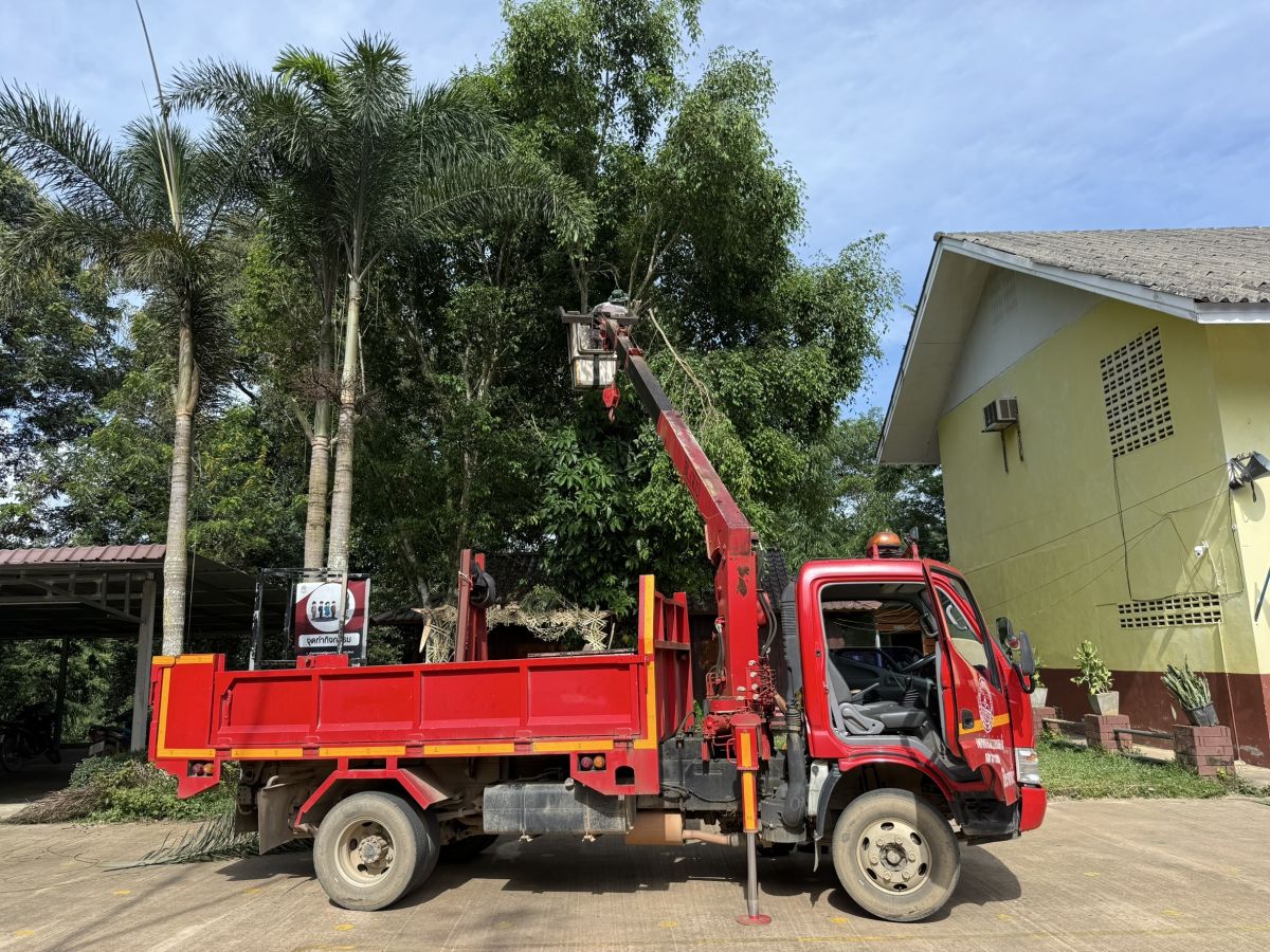องค์การบริหารส่วนตำบลแม่สลองใน