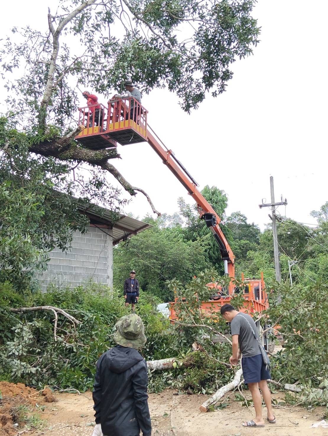 องค์การบริหารส่วนตำบลแม่สลองใน