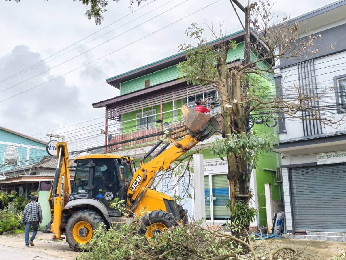 องค์การบริหารส่วนตำบลแม่สลองใน