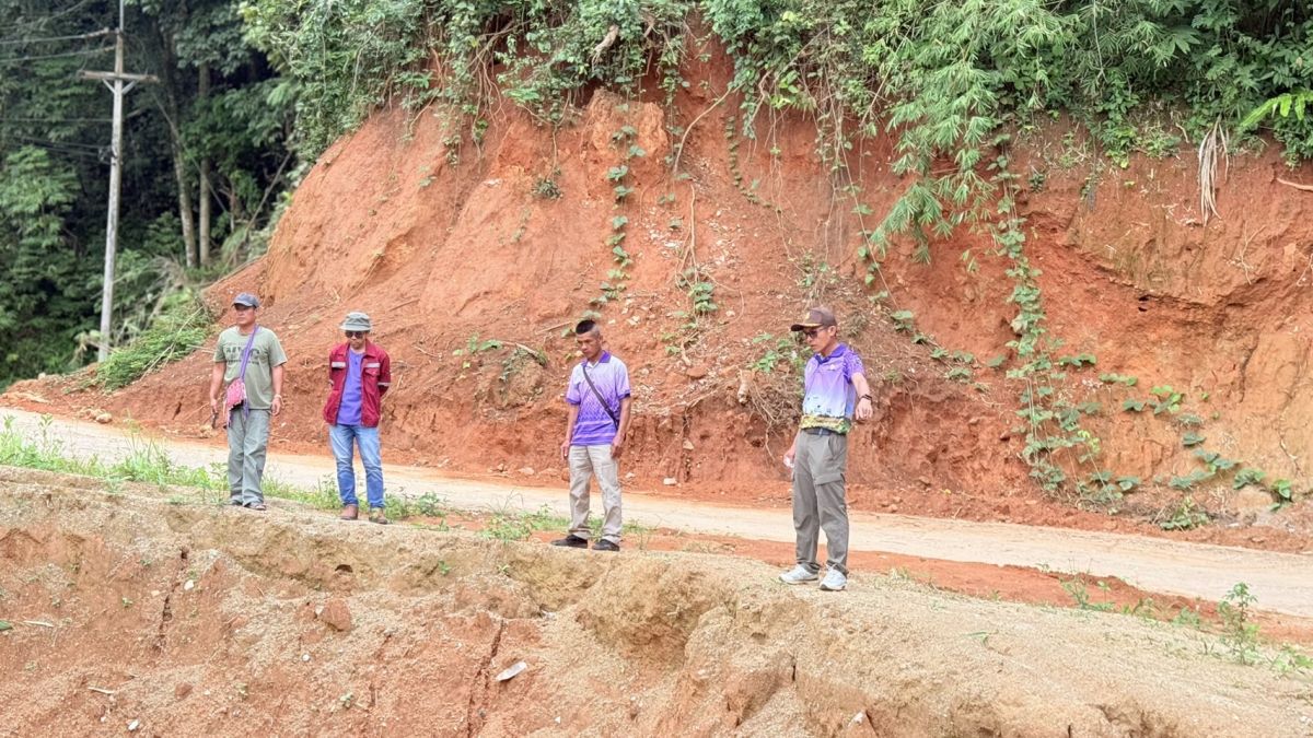 องค์การบริหารส่วนตำบลแม่สลองใน