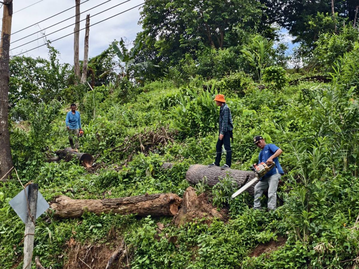 องค์การบริหารส่วนตำบลแม่สลองใน