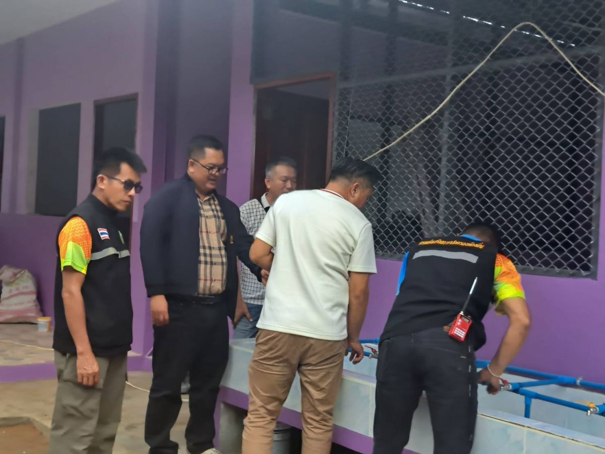 องค์การบริหารส่วนตำบลแม่สลองใน