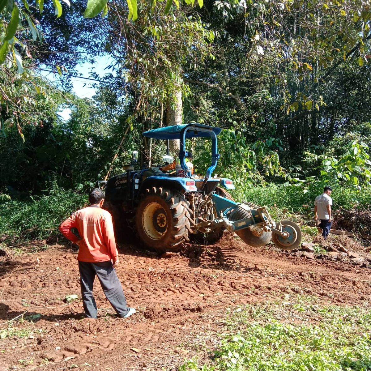 องค์การบริหารส่วนตำบลแม่สลองใน