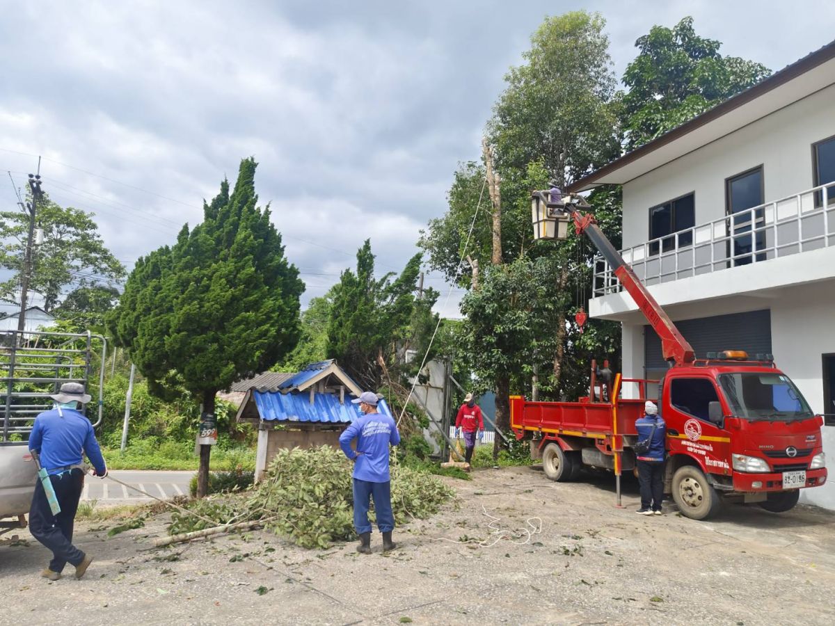 องค์การบริหารส่วนตำบลแม่สลองใน