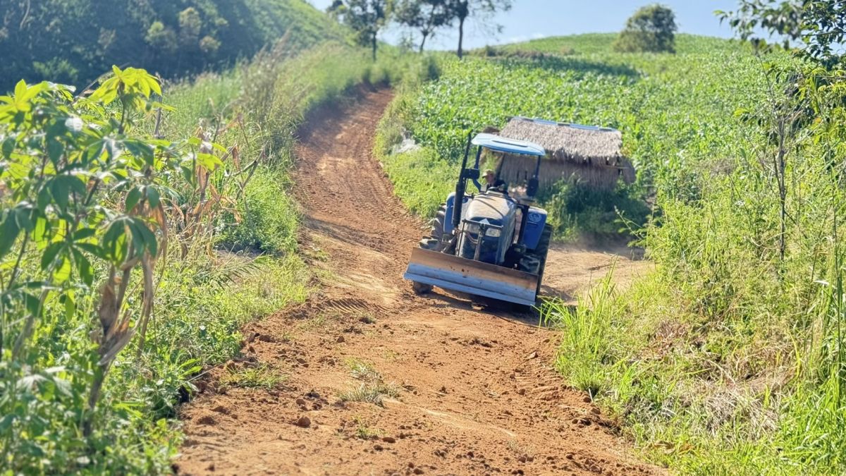 องค์การบริหารส่วนตำบลแม่สลองใน