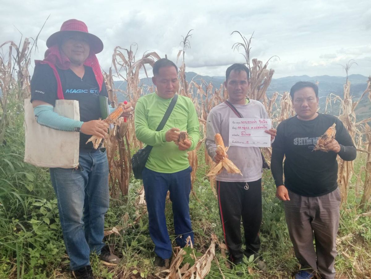 องค์การบริหารส่วนตำบลแม่สลองใน