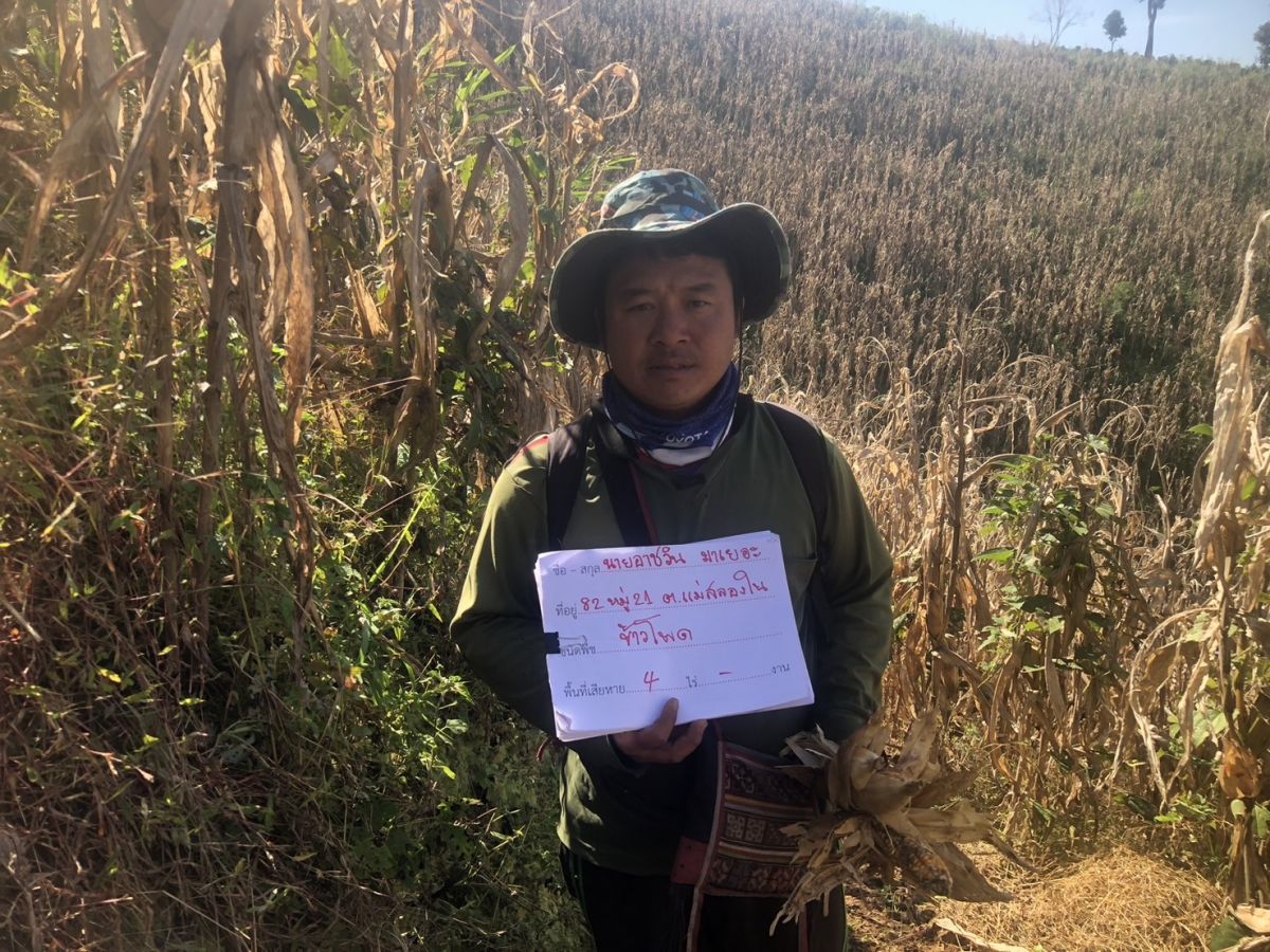 องค์การบริหารส่วนตำบลแม่สลองใน