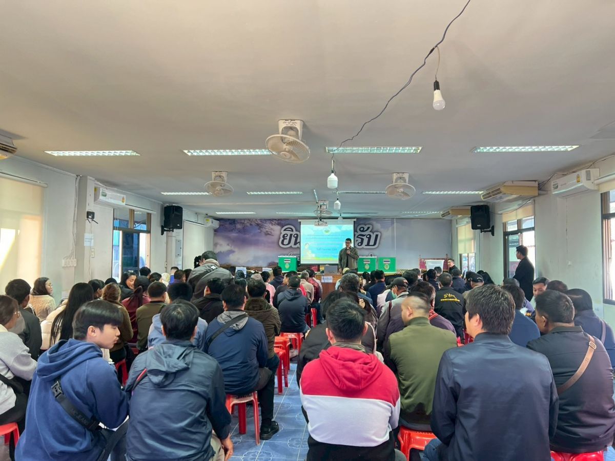 องค์การบริหารส่วนตำบลแม่สลองใน