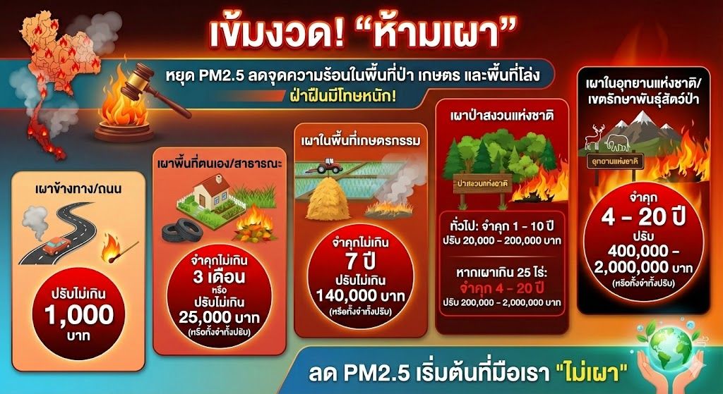 องค์การบริหารส่วนตำบลแม่สลองใน