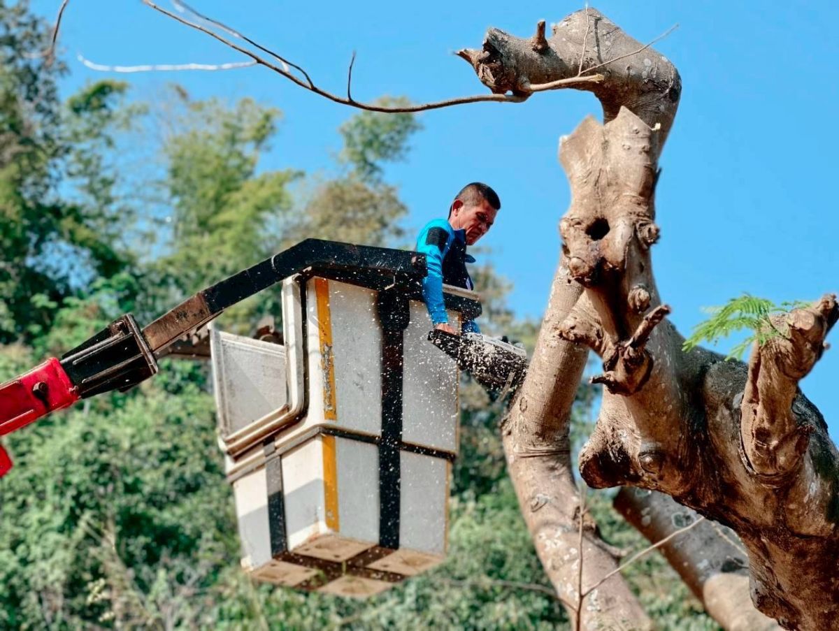 องค์การบริหารส่วนตำบลแม่สลองใน