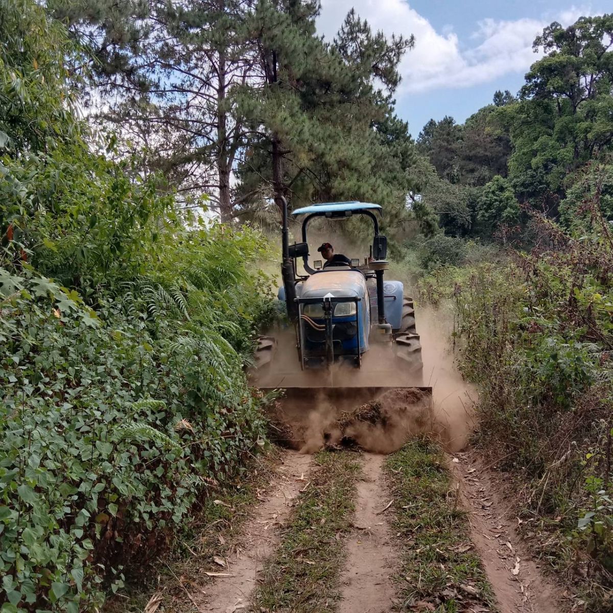 องค์การบริหารส่วนตำบลแม่สลองใน