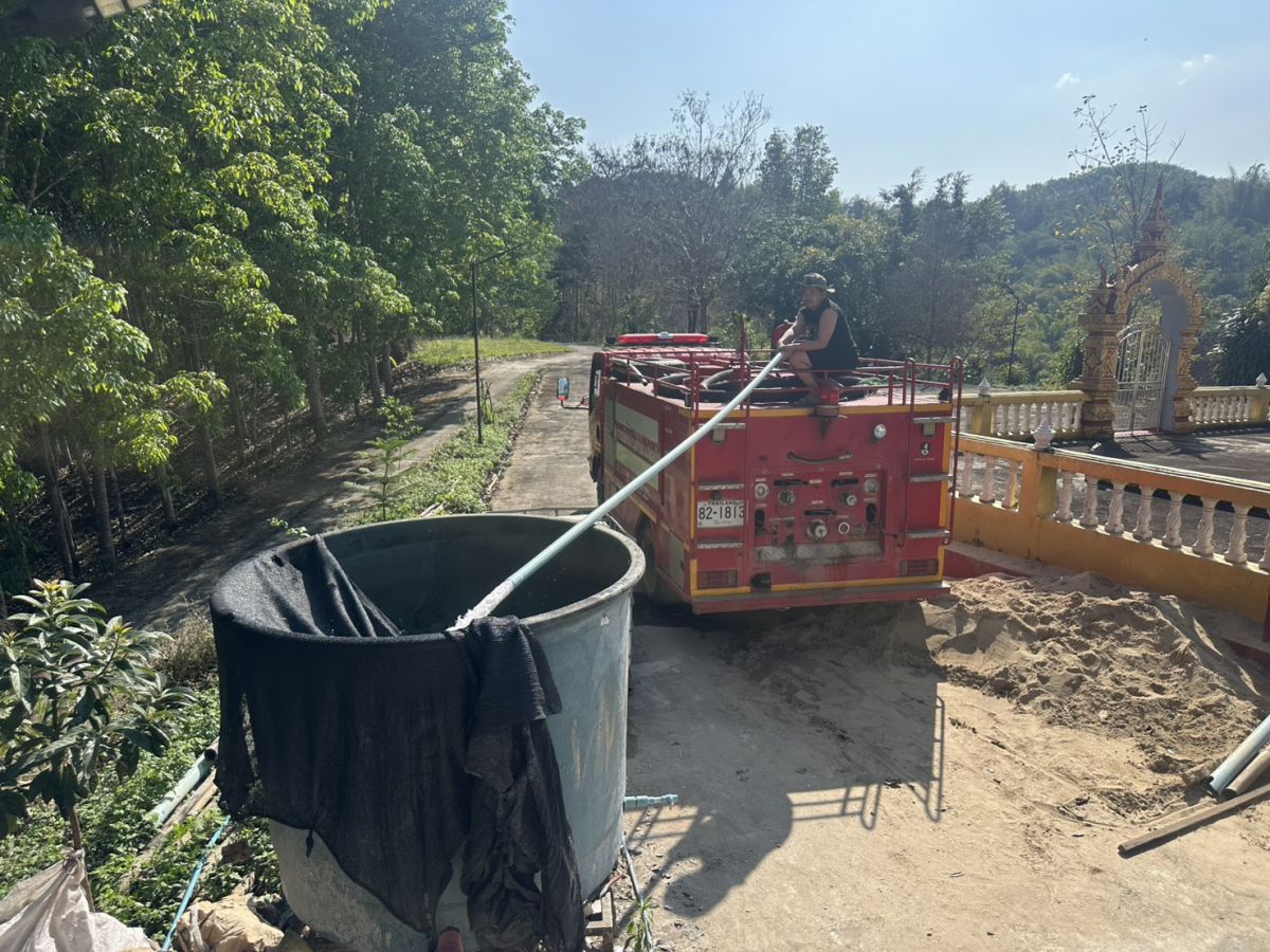 องค์การบริหารส่วนตำบลแม่สลองใน