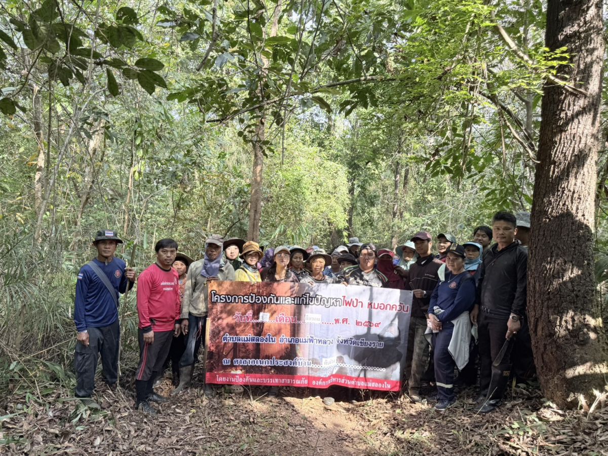 องค์การบริหารส่วนตำบลแม่สลองใน