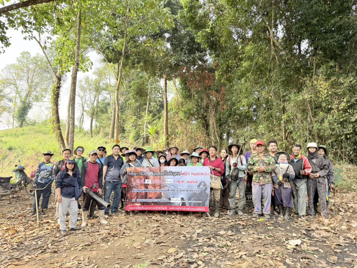 องค์การบริหารส่วนตำบลแม่สลองใน