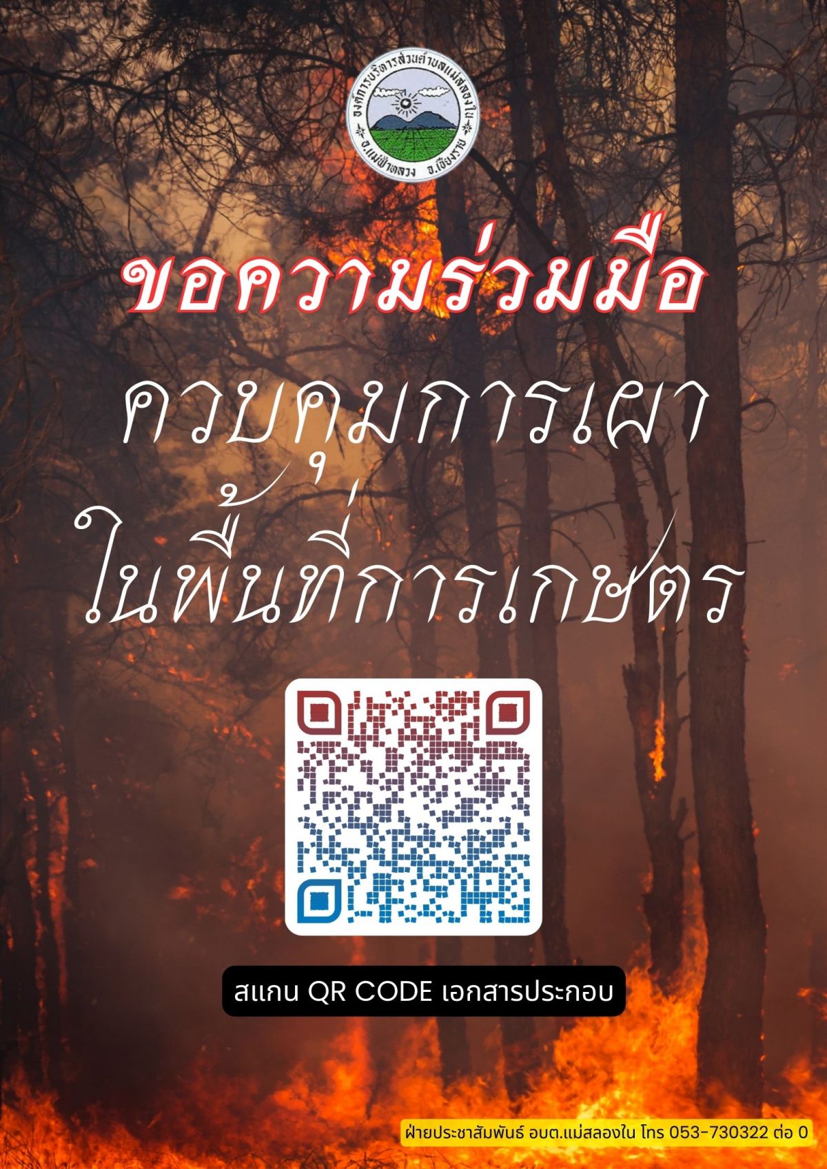 องค์การบริหารส่วนตำบลแม่สลองใน