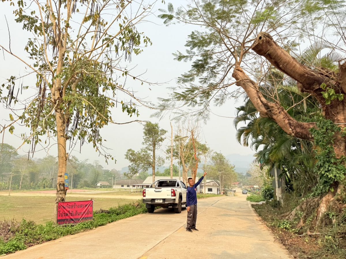 องค์การบริหารส่วนตำบลแม่สลองใน