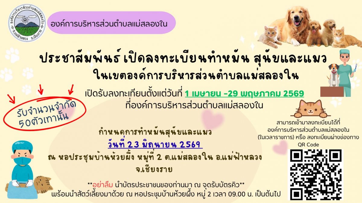 องค์การบริหารส่วนตำบลแม่สลองใน