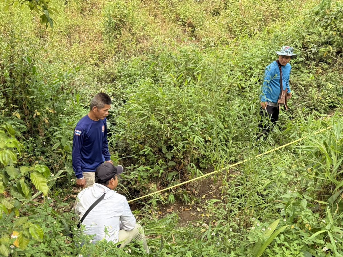 องค์การบริหารส่วนตำบลแม่สลองใน