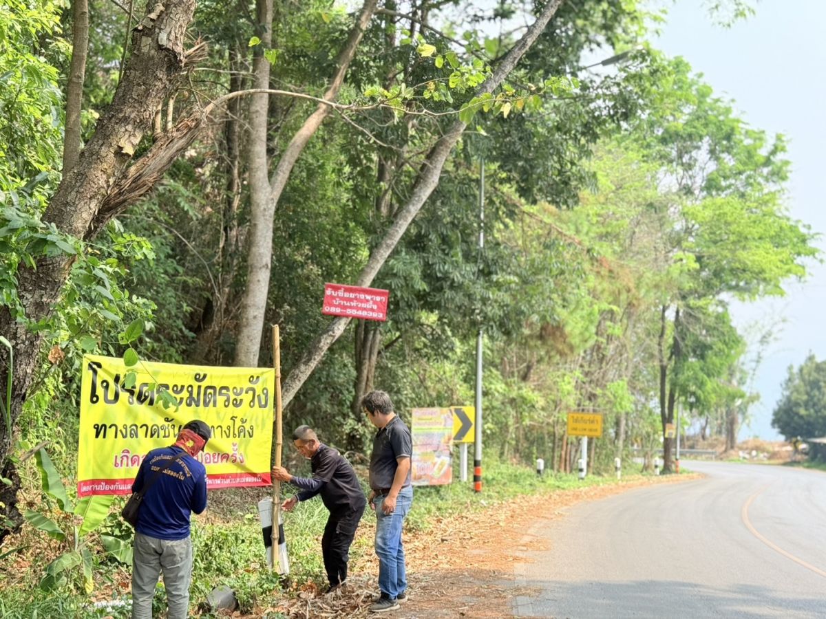 องค์การบริหารส่วนตำบลแม่สลองใน