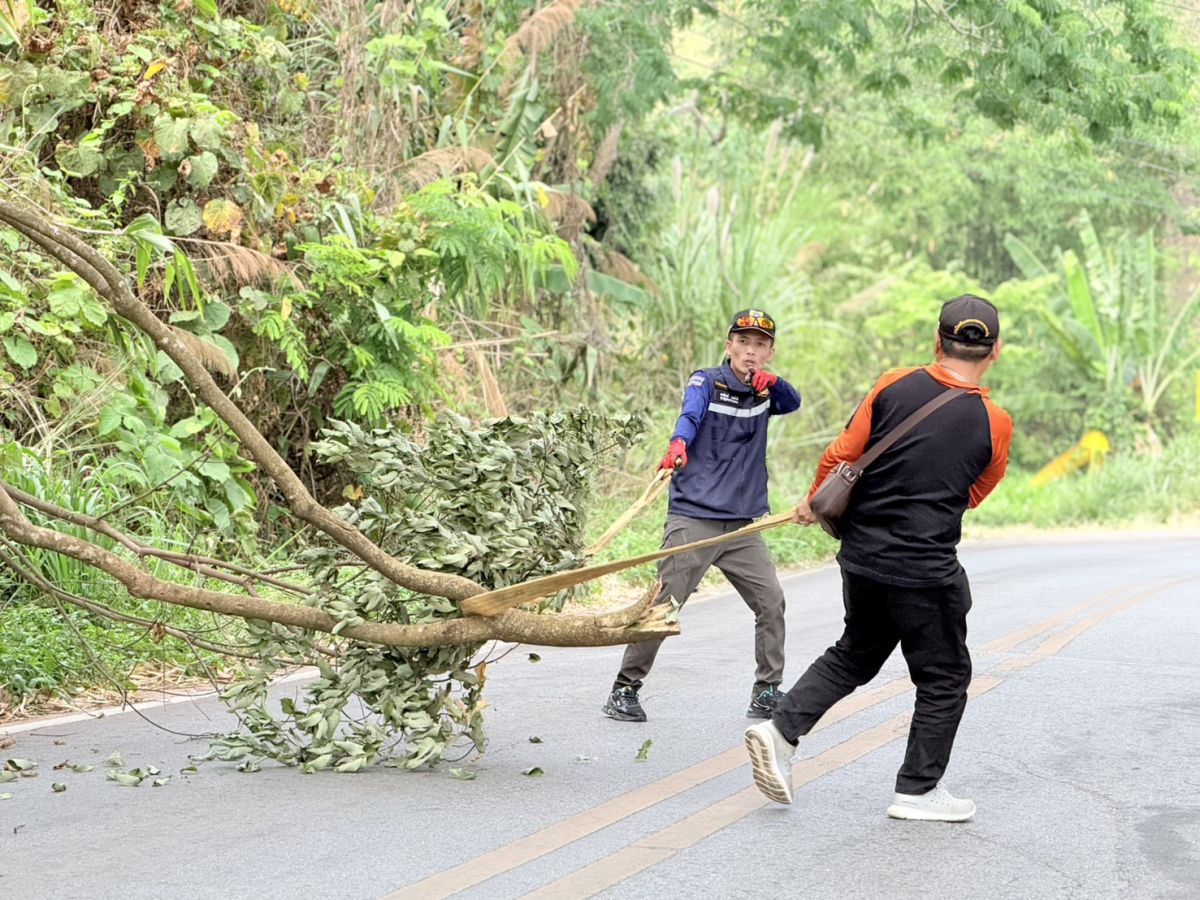 องค์การบริหารส่วนตำบลแม่สลองใน